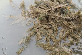 IMG_20240406_091946