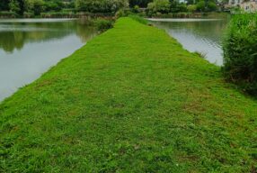 IMG_20240518_084828