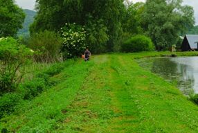 IMG_20240518_110538